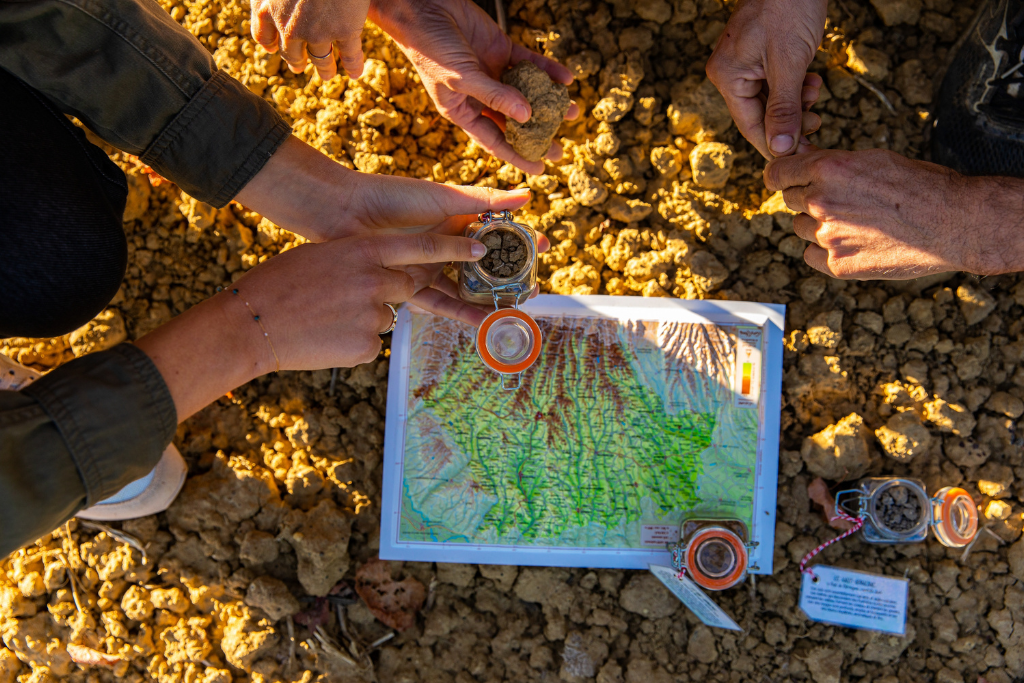 Incentive Vignoble Occitanie