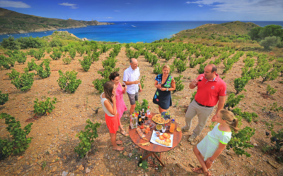 Incentive Vignoble Occitanie